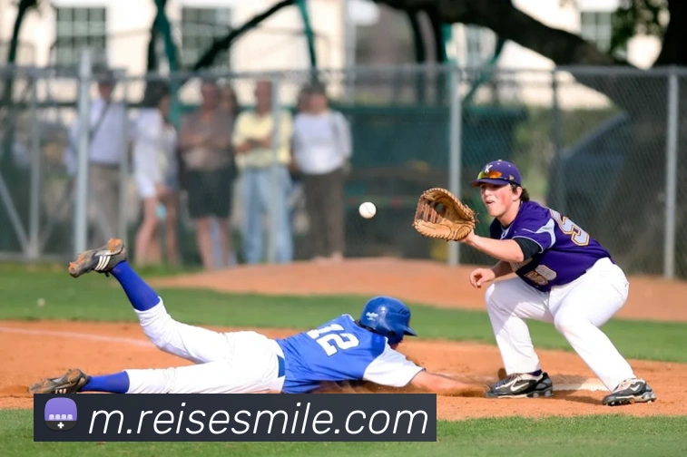 米乐m6平台生态图