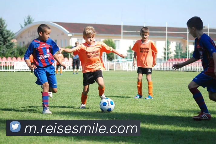 奖项证书